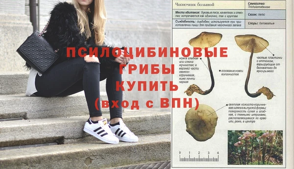 мяу мяу кристалл Беломорск