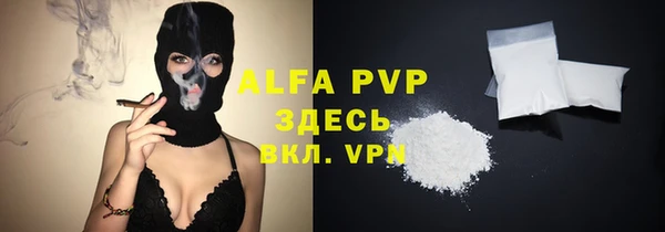 ПСИЛОЦИБИНОВЫЕ ГРИБЫ Белокуриха