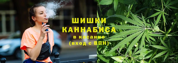 ПСИЛОЦИБИНОВЫЕ ГРИБЫ Белокуриха
