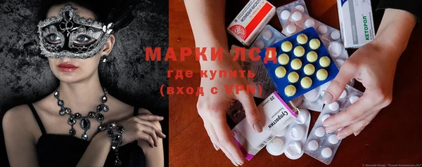 ПСИЛОЦИБИНОВЫЕ ГРИБЫ Белокуриха