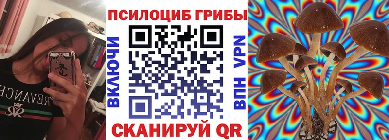 Галлюциногенные грибы Magic Shrooms  закладка  Малмыж 